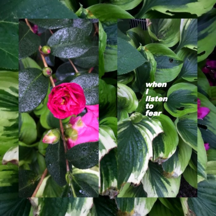 1-Pics for Blog Edits536.jpg