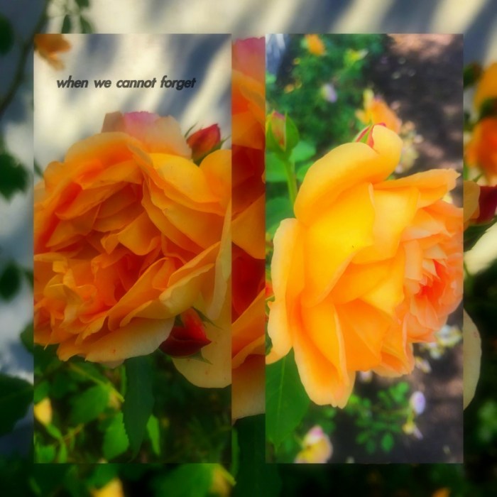 1-Pics for Blog Edits541.jpg