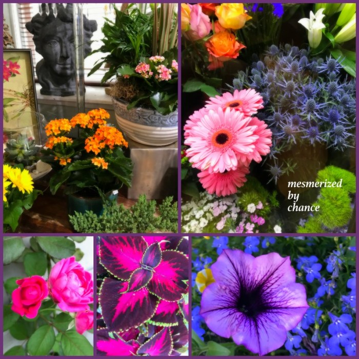 1-Pics for Blog Edits542