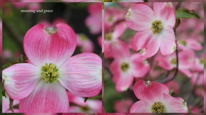 1-Pics for Blog Edits555.jpg