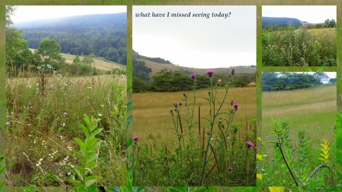 1-Pics for Blog Edits557