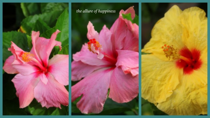 1-Pics for Blog Edits573