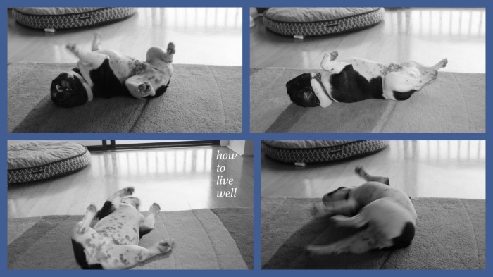 1-Pics for Blog Edits574