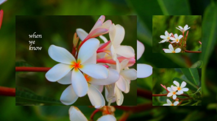 1-Pics for Blog Edits575.jpg