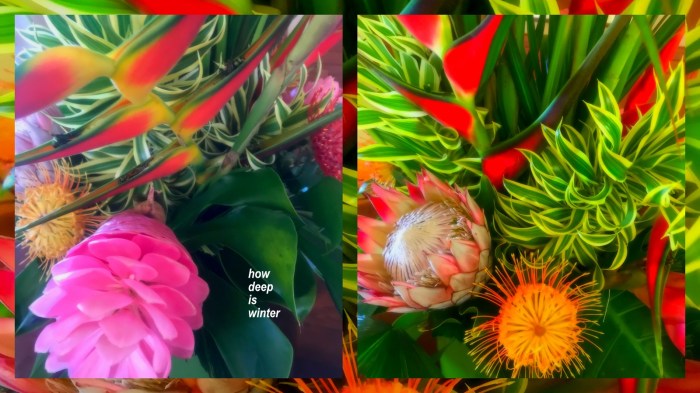 1-Pics for Blog Edits576