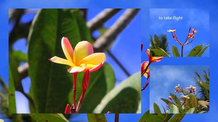 1-Pics for Blog Edits578.jpg