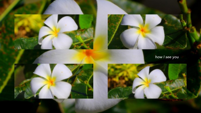 1-Pics for Blog Edits580.jpg