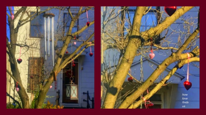 1-Pics for Blog Edits587