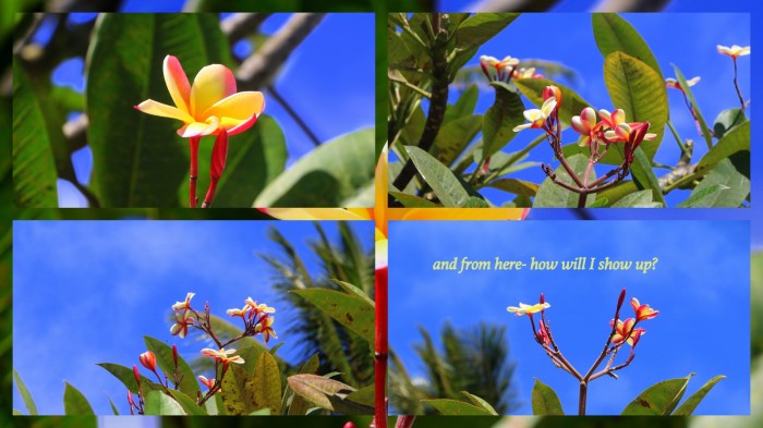 1-Pics for Blog Edits590.jpg