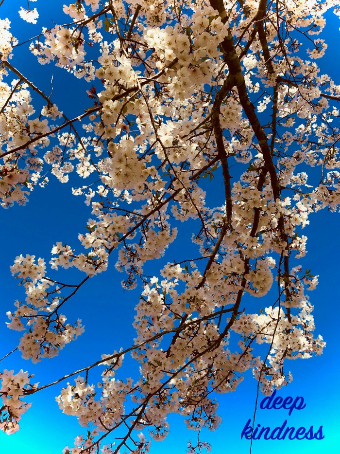deep kindness.jpg