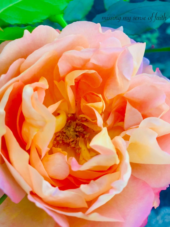 missing my sense of faith