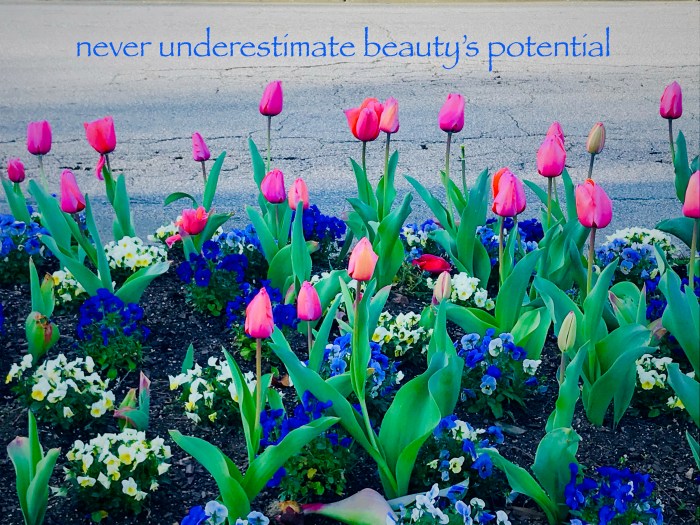 never underestimat beautys potential