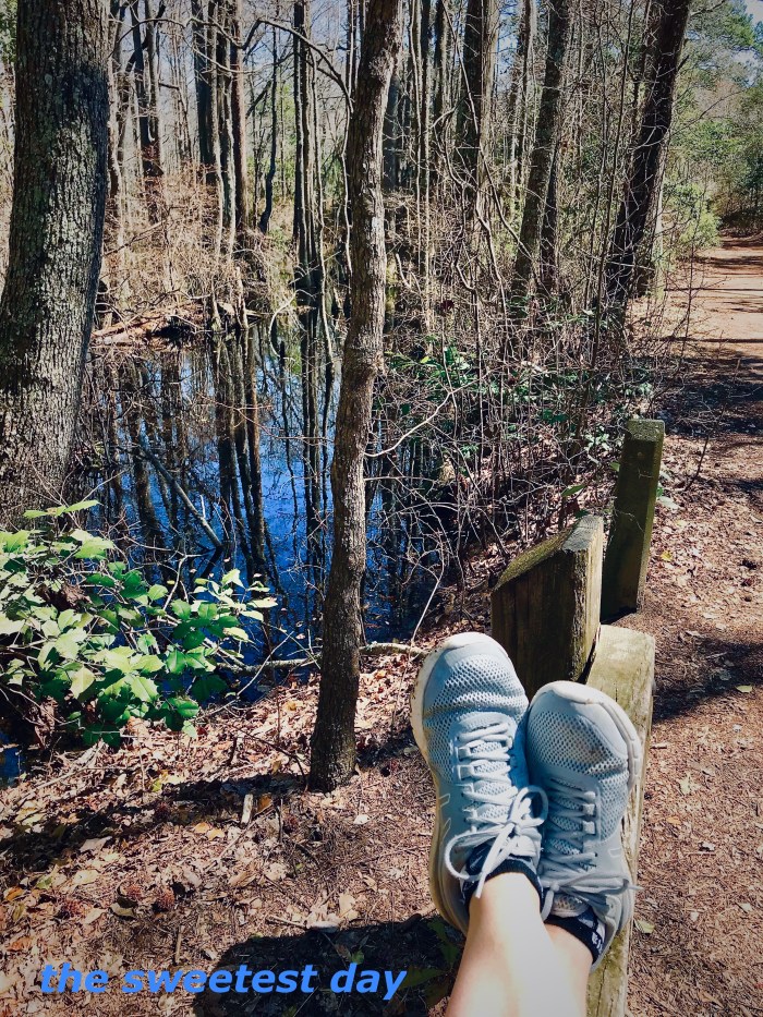 the sweetest day.jpg