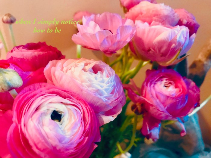 when I simply notice.jpg