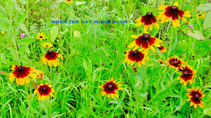 when the day winds blow.jpg