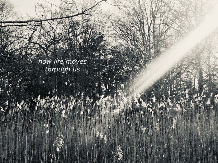 how life moves through us.jpg