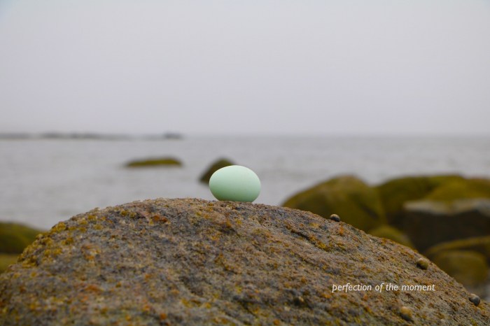 perfection of the moment.jpg