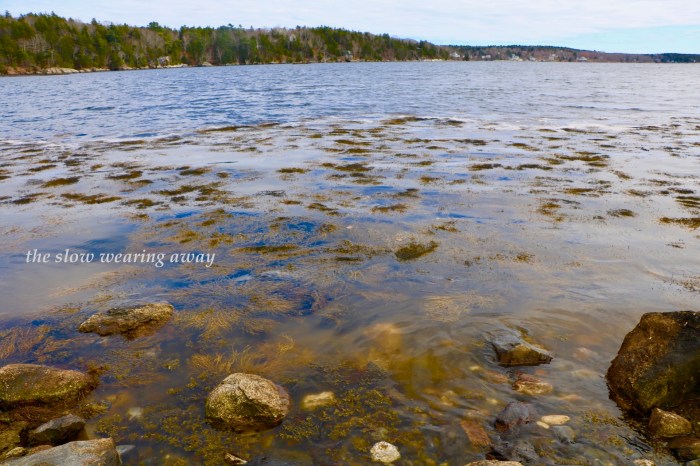 the slowing wearing away.jpg